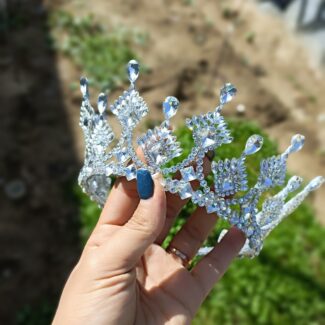 تاج دنیز