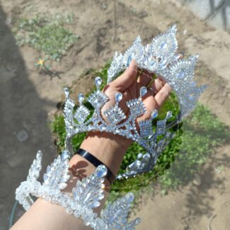 تاج دنیز
