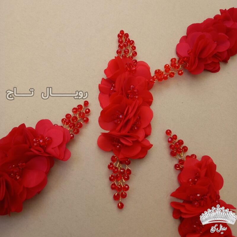 ریسه عروس هلندی